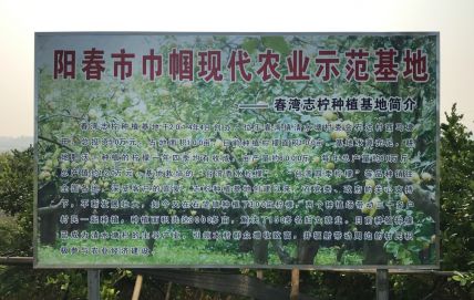 源自阳春农业基地