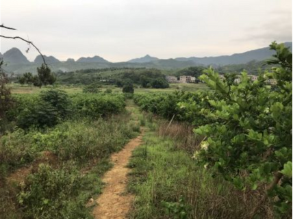 种植环境