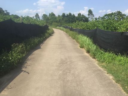 种植场地